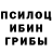 Псилоцибиновые грибы мицелий Koralina 228