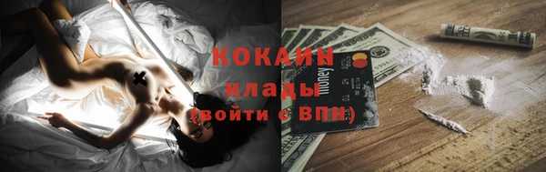 apvp Горняк