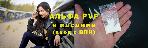 мдпв Горно-Алтайск