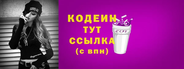 мдпв Горно-Алтайск