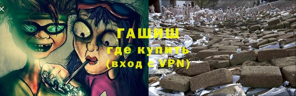 мдпв Горно-Алтайск