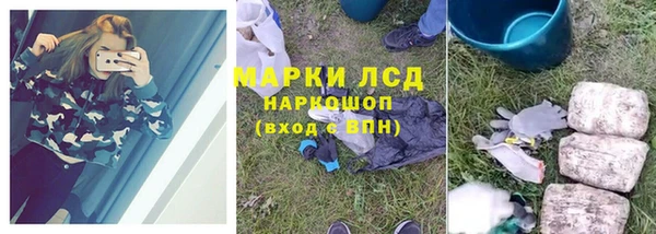 apvp Горняк