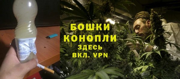 мдпв Горно-Алтайск