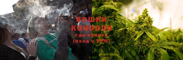 apvp Горняк