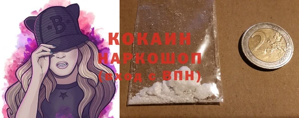 apvp Горняк