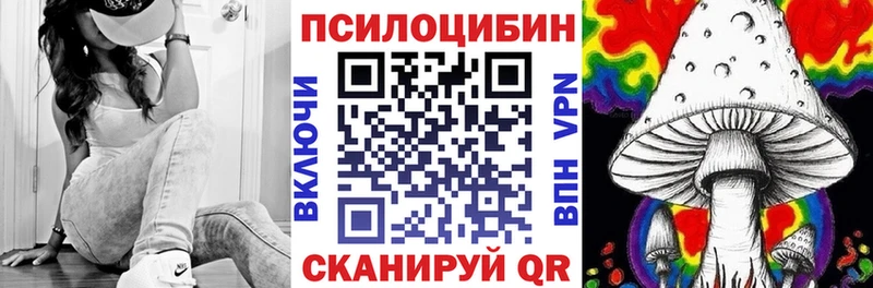 Купить где  Плавск  Псилоцибиновые грибы Cubensis 